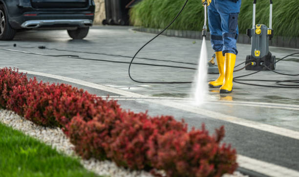 Best Soft Washing  in Grass Valley, CA